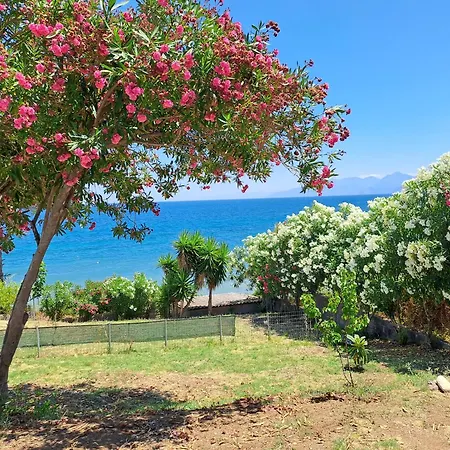 House Kotrona * Achladi